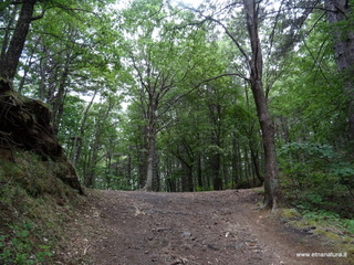 Monte Crisimo
